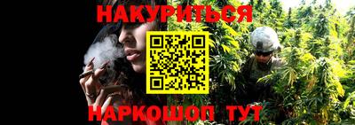 mdma Гусев