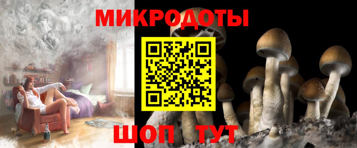 Норильск  Псилоцибиновые грибы ЛСД  Вход с VPN  Псилоцибиновые грибы мицелий 